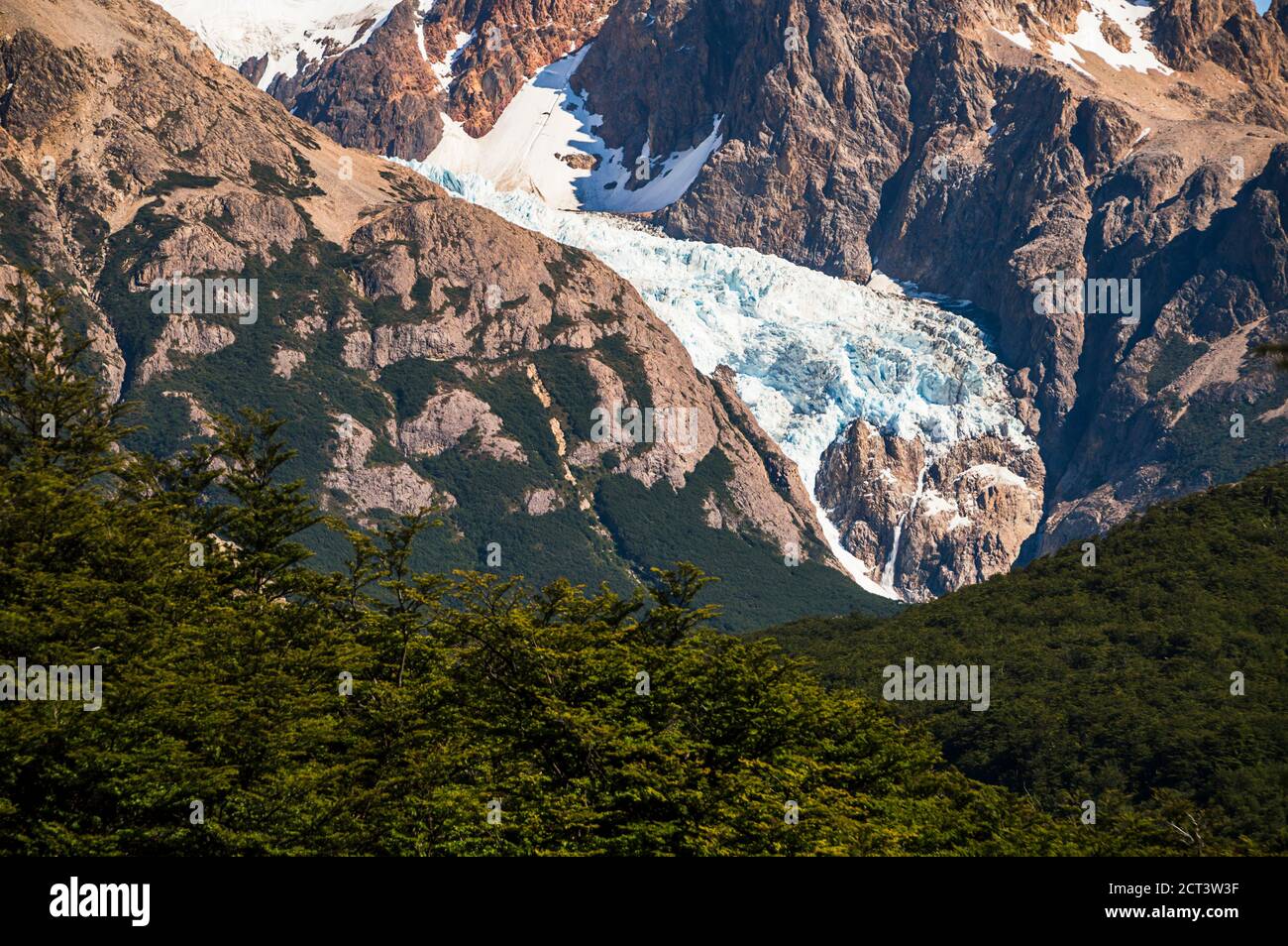 Glaciar Fitz Roy Este o Piedras Blancas, Los Glaciares National Park, El Chalten, Patagonia, Argentina, South America Stock Photo