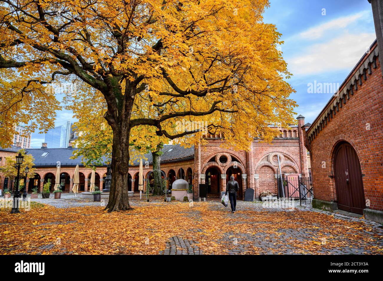 A man walking in the courtyard of the Oslo Cathedral in the autumn The trees in the garden of the leaves turn yellow and orange. Beautiful, in the eve Stock Photo