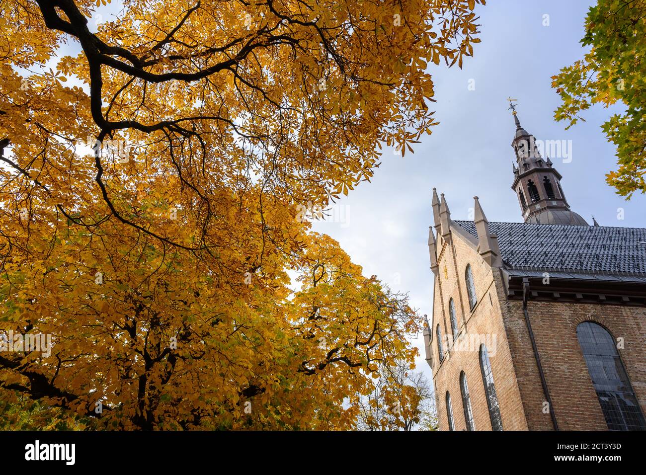 In the courtyard of the Oslo Cathedral in the autumn The trees in the garden of the leaves turn yellow and orange. Beautiful, in the evening the sky i Stock Photo