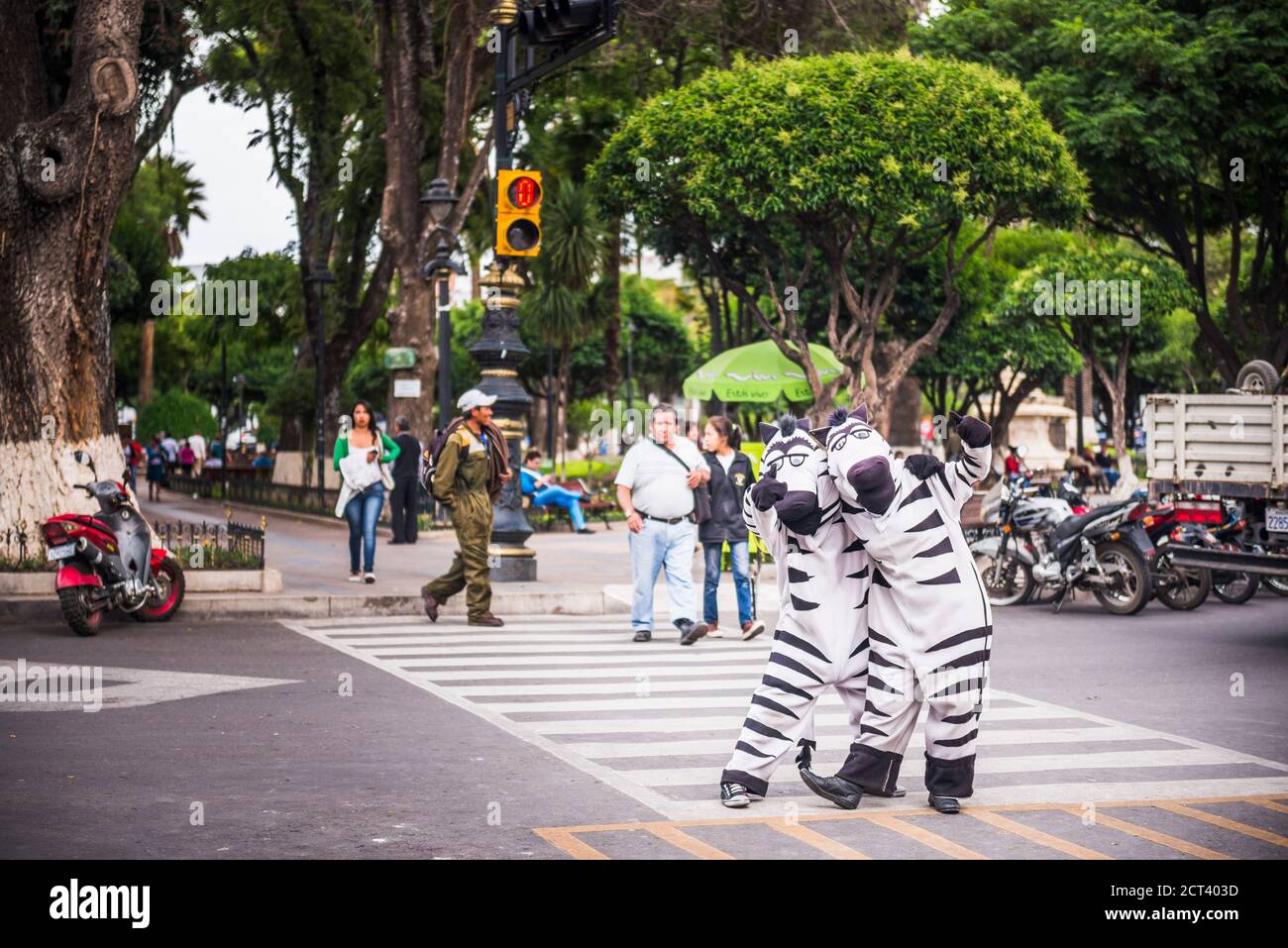 Traffic zebras, Plaza 25 de Mayo (25 May Square), Sucre, Bolivia, South America Stock Photo