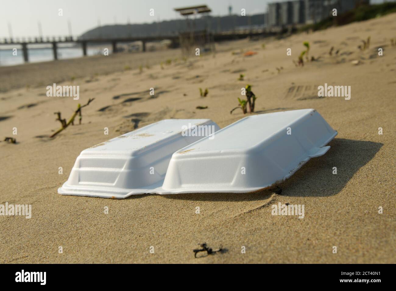 Single-use discarded polystyrene food packaging on beach, Durban, South Africa, container, litter, garbage, landscape, fast food, object, close up Stock Photo