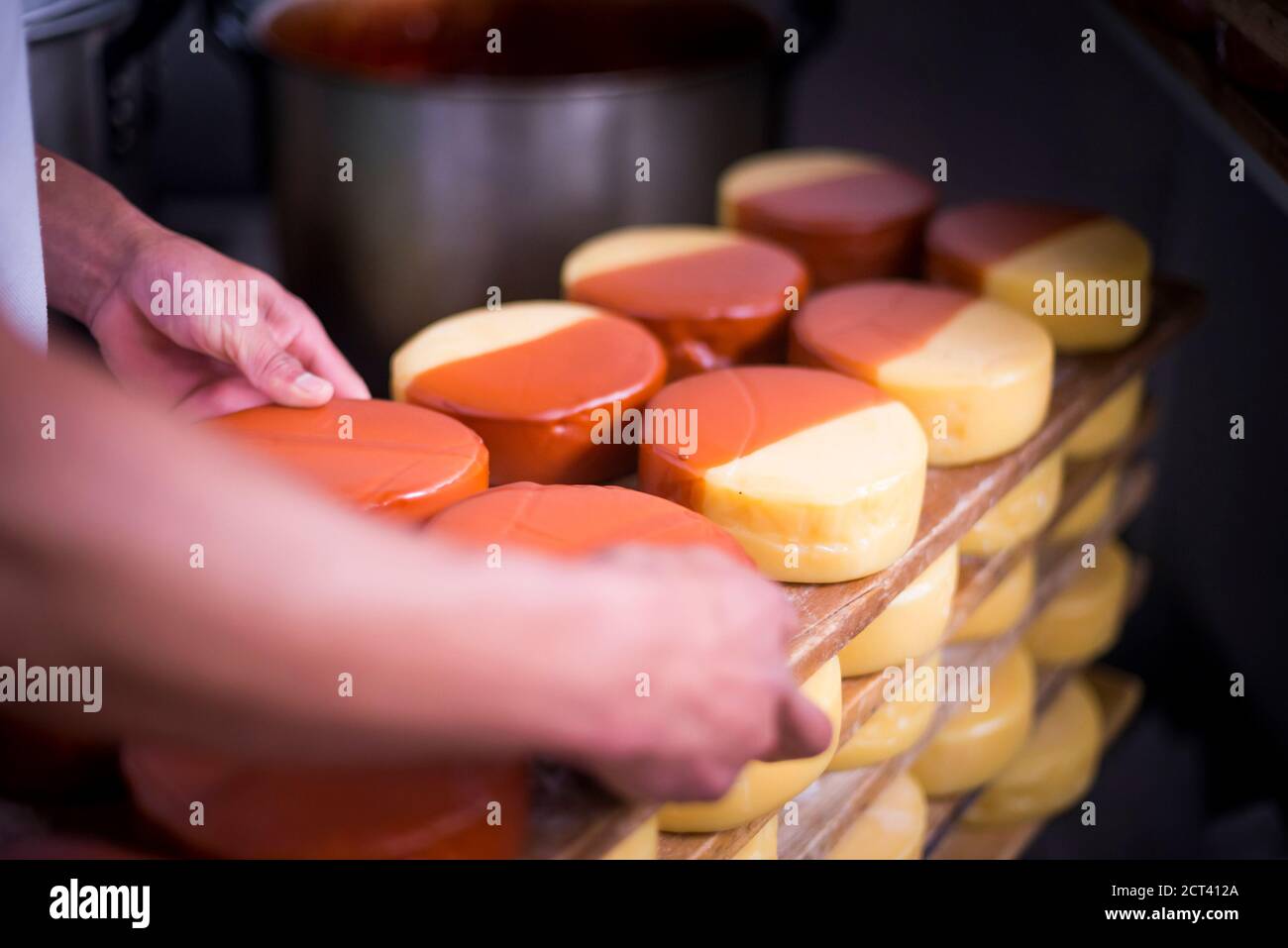Waxing cheese at the Cheese Factory on the farm at Hacienda Zuleta