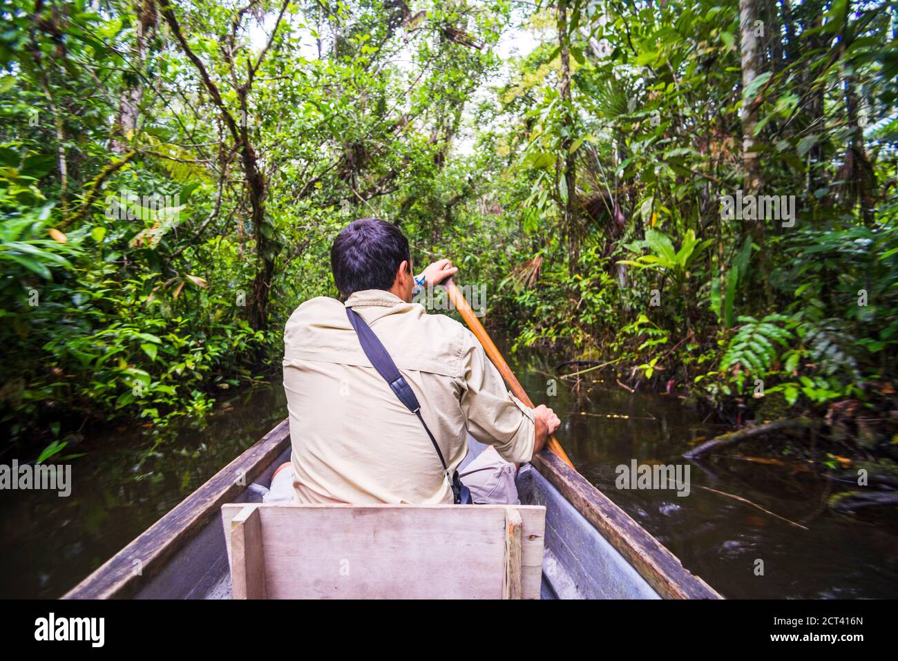 Dugout canoe ride in the Amazon Rainforest, Coca, Ecuador, South