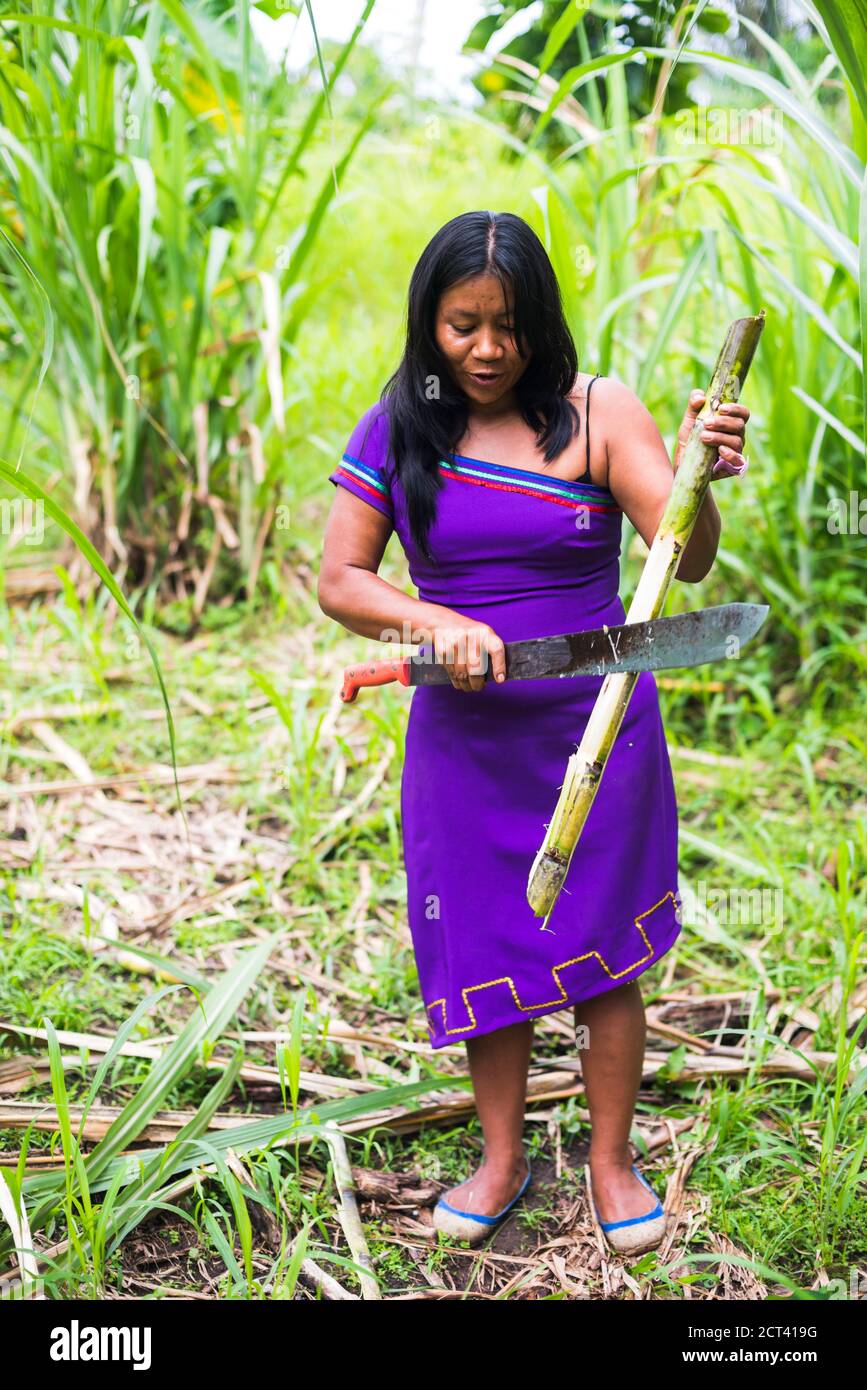 Amazon Rainforest tribe demonstration, Coca, Ecuador, South America Stock Photo