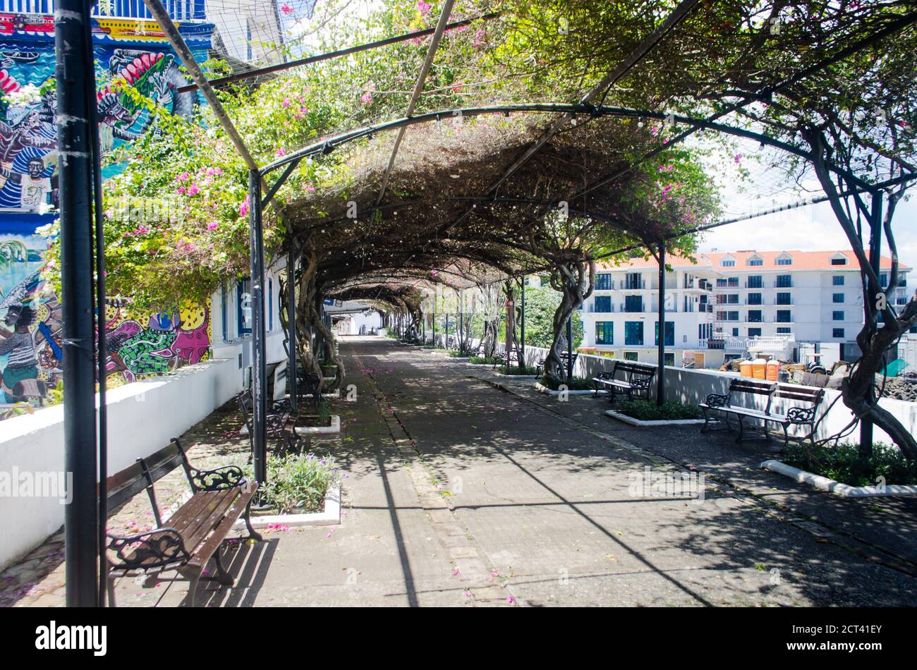 Paseo Esteban Huertas, a famous promenade in Casco Viejo near Plaza de Francia in Panama City.  It is a lonely street now during Covid-19 pandemic Stock Photo