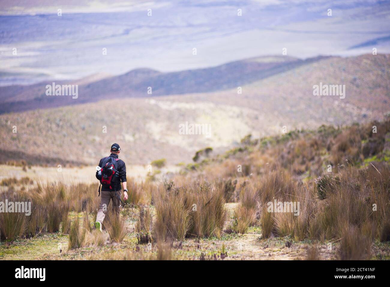 Person hiking Ruminahui Volcano, Cotopaxi National Park, Avenue of ...