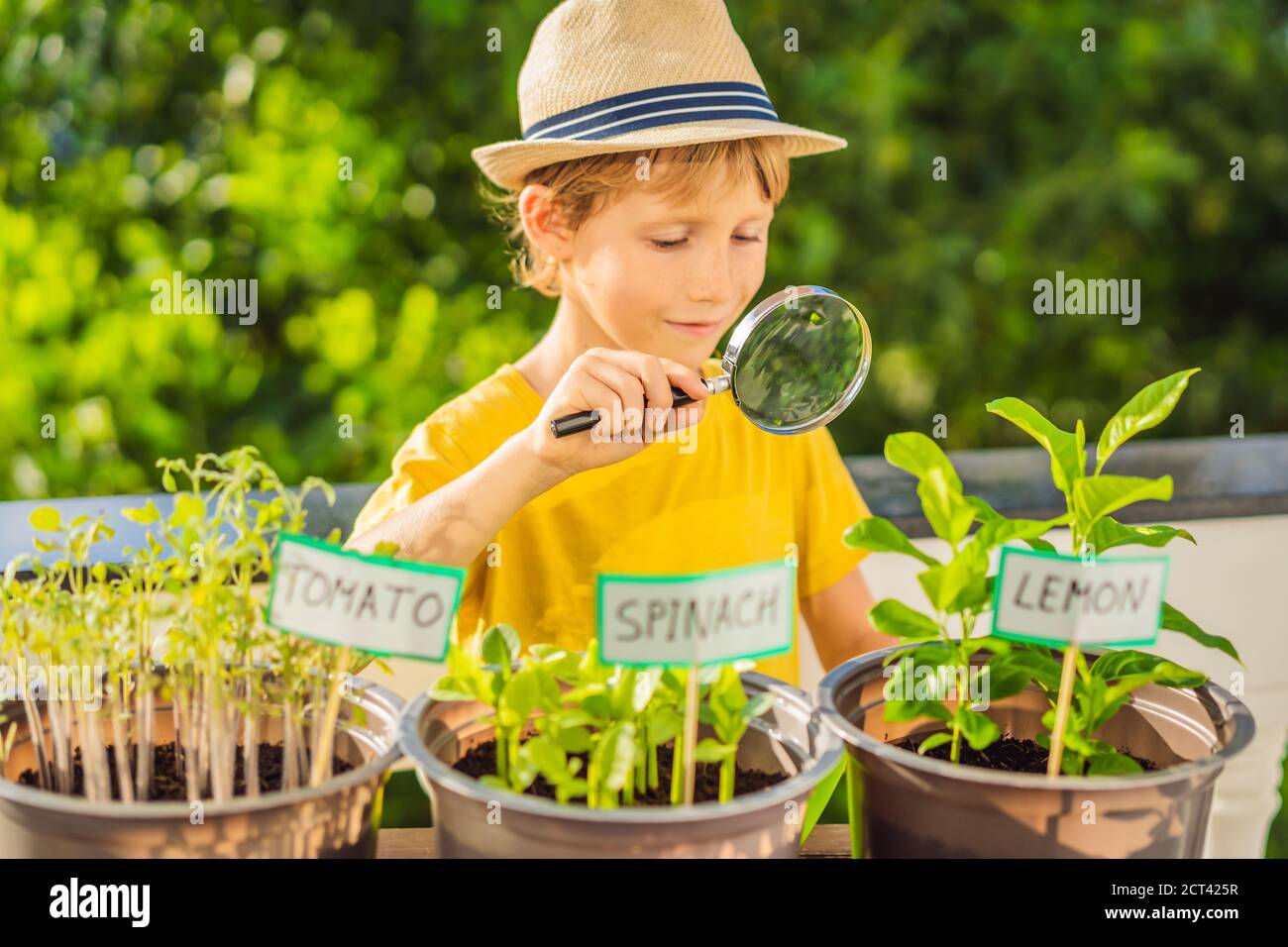 The boy studies the plants through a magnifying glass. He is doing
