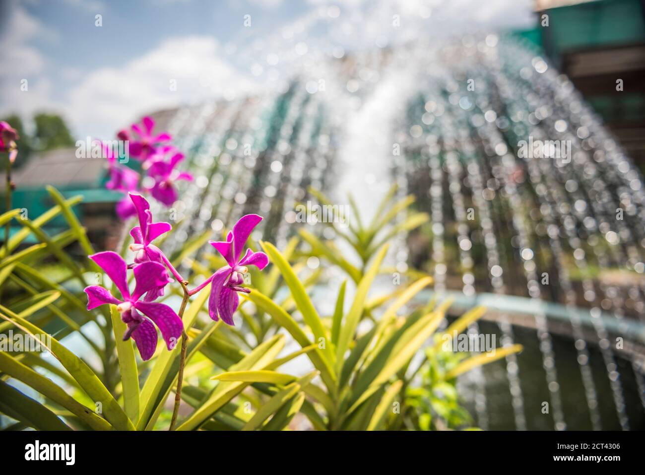 Orchid garden, Perdana Botanical Garden, Tun Abdul Razak Heritage Park