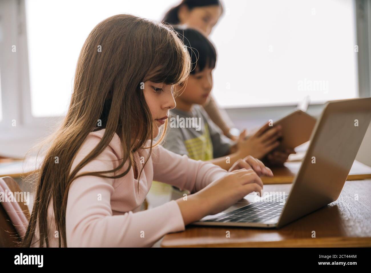 School children using computer laptop in school classroom, digital native, technology, learning. Diversity group of students in computer class. Stock Photo