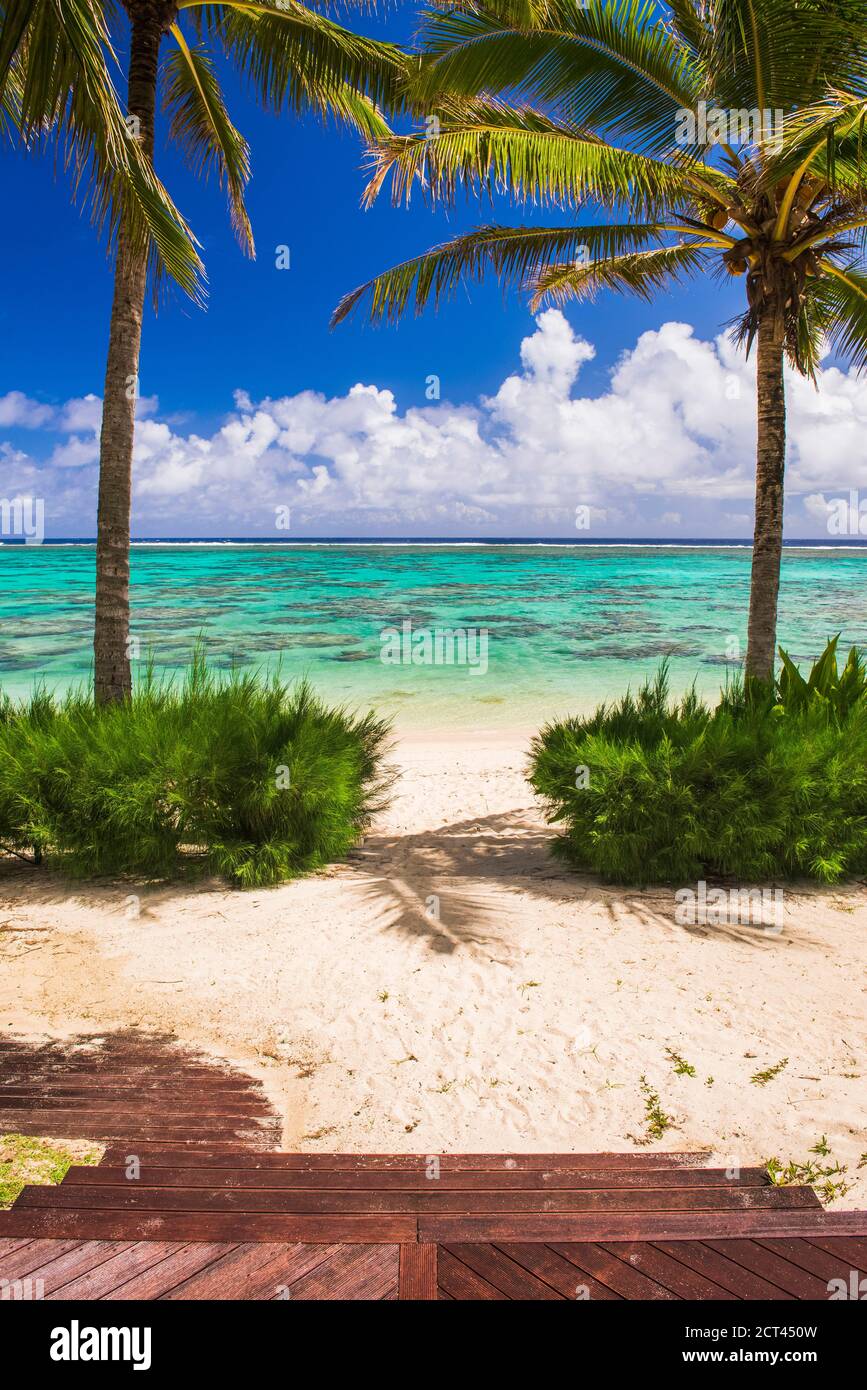 Tropical island, with white sandy beach, palm trees and beautiful blue ...