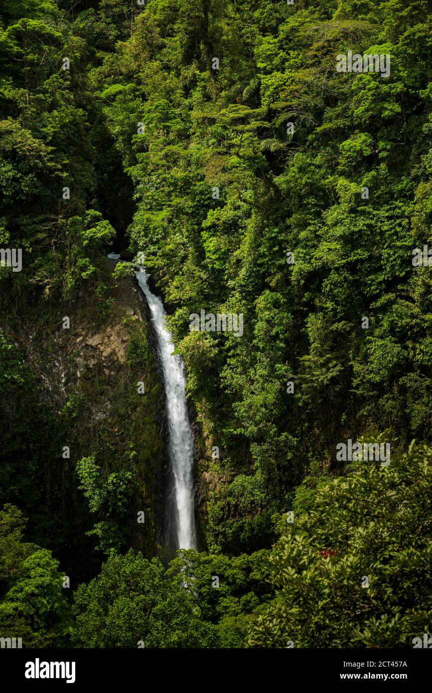 La Fortuna Waterfall, Alajuela Province, Costa Rica, Central America Stock Photo