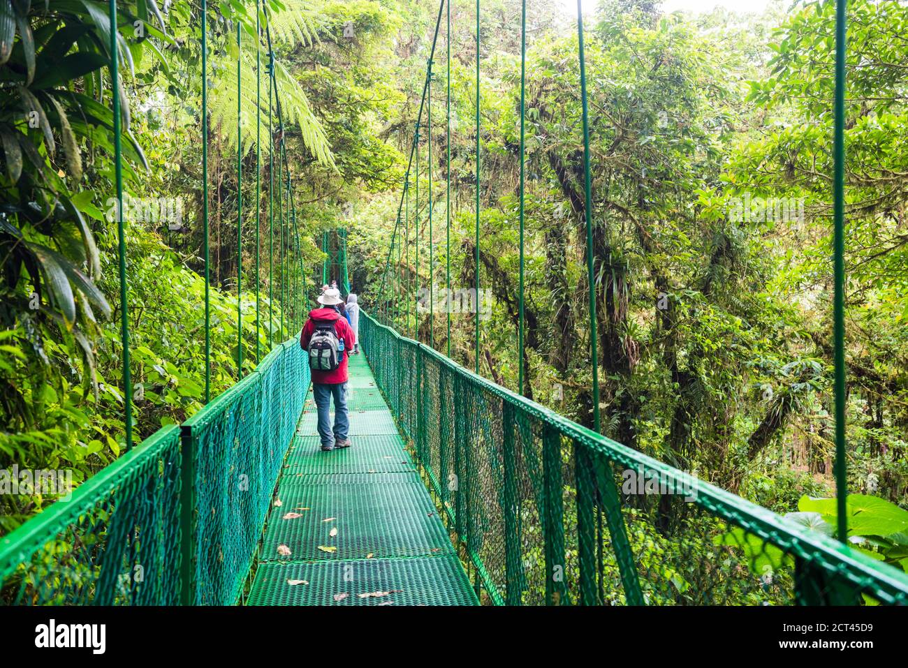 Selvatura Treetop hanging bridges, Monteverde Cloud Forest Reserve ...