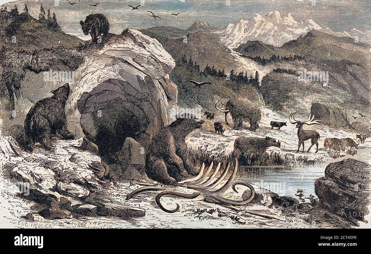 Machine coloured image of an ideal European landscape in the Quaternary epoch with bears, elks and mammoths. Wood engraving By: Eugene Meunier, Eduard Riou Stock Photo