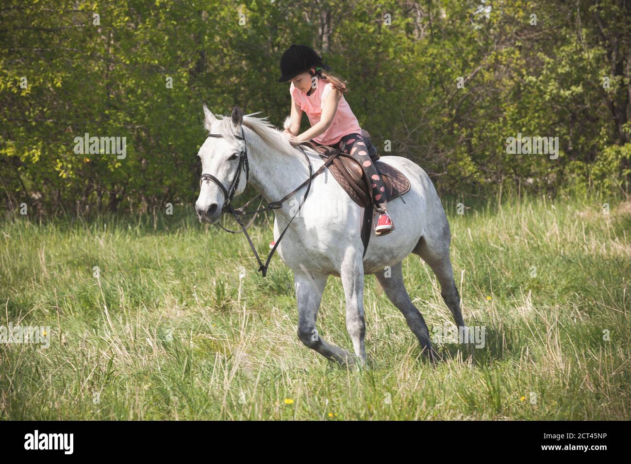 Girl activity horse hi-res stock photography and images - Alamy