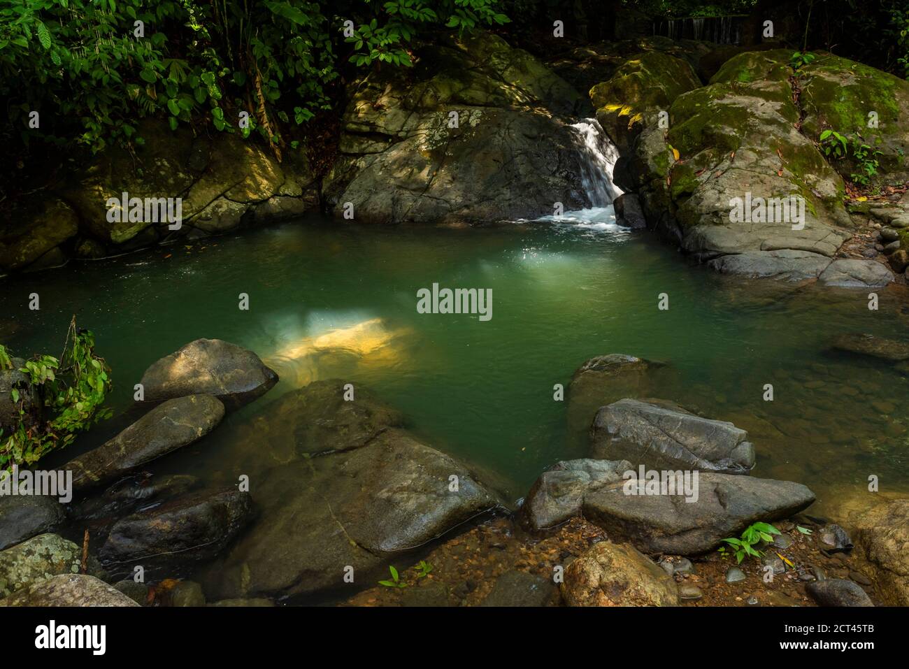 Swimming hole in the rainforest, Uvita, Puntarenas Province, Pacific Coast of Costa Rica Stock Photo