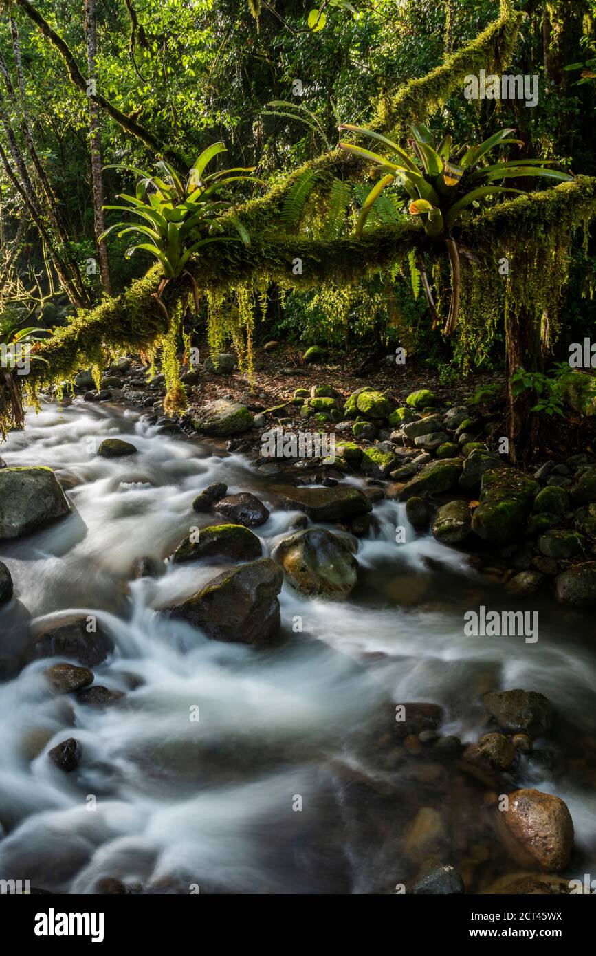 Savegre River (Rio Savegre), San Gerardo de Dota, San Jose Province, Costa Rica Stock Photo