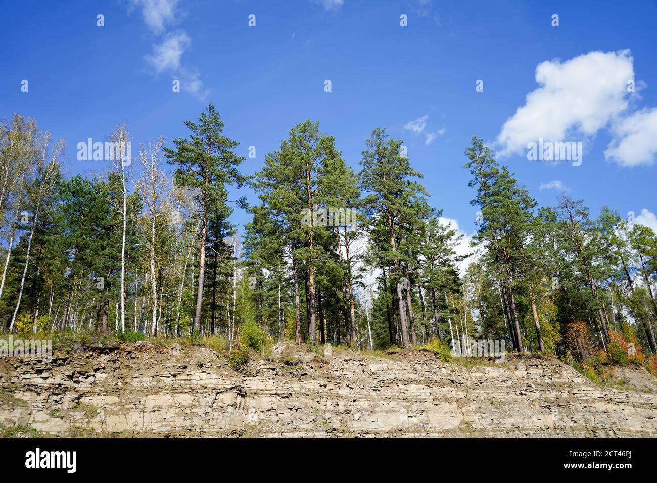 Natural landscape with trees on a blue sky background Stock Photo - Alamy