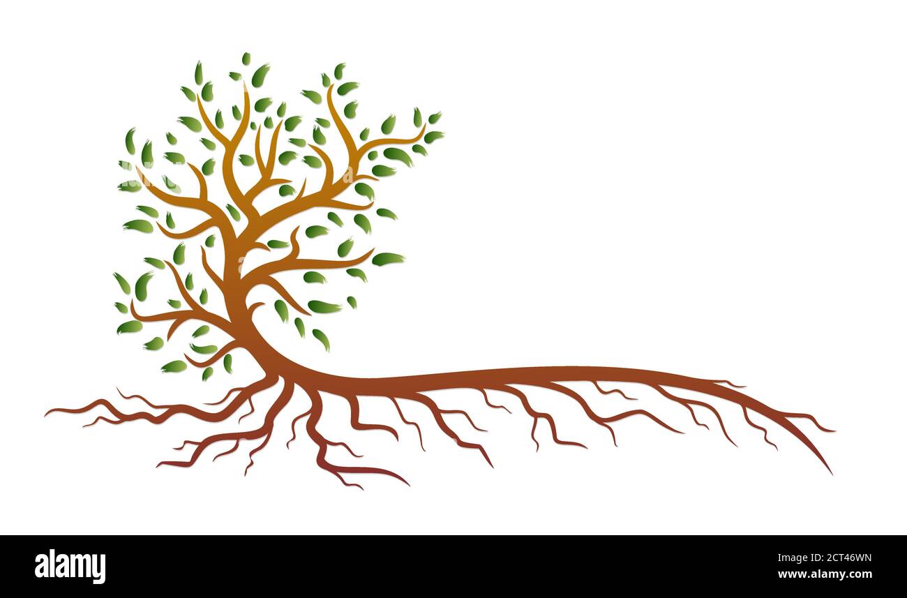 Abstract Root Symbol A symbol of a stylized tree with roots Stock Vector Image & Art - Alamy
