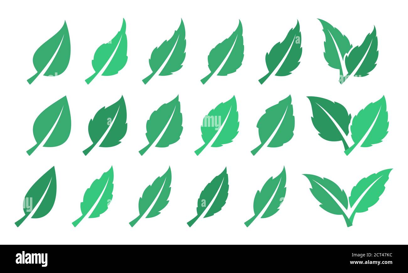 Green leaf set. Eco design Stock Vector