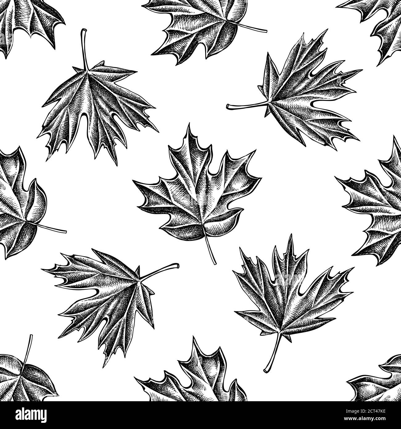 Seamless pattern with black and white maple Stock Vector Image & Art ...