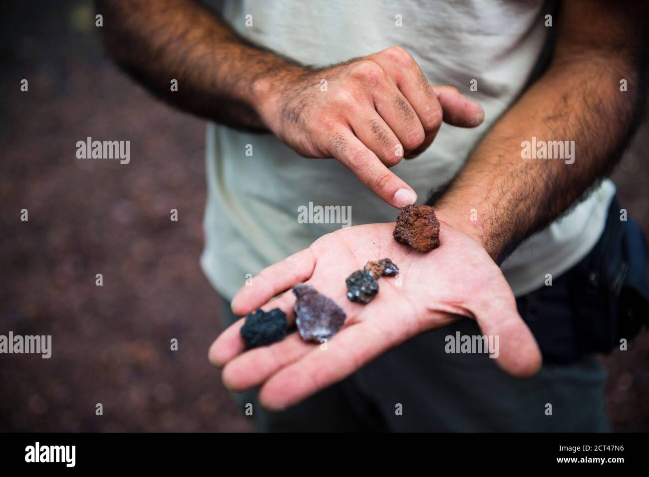 Mount Etna Volcano, tour guide explaining the age of different volcanic rocks, Sicily, UNESCO World Heritage Site, Italy, Europe Stock Photo