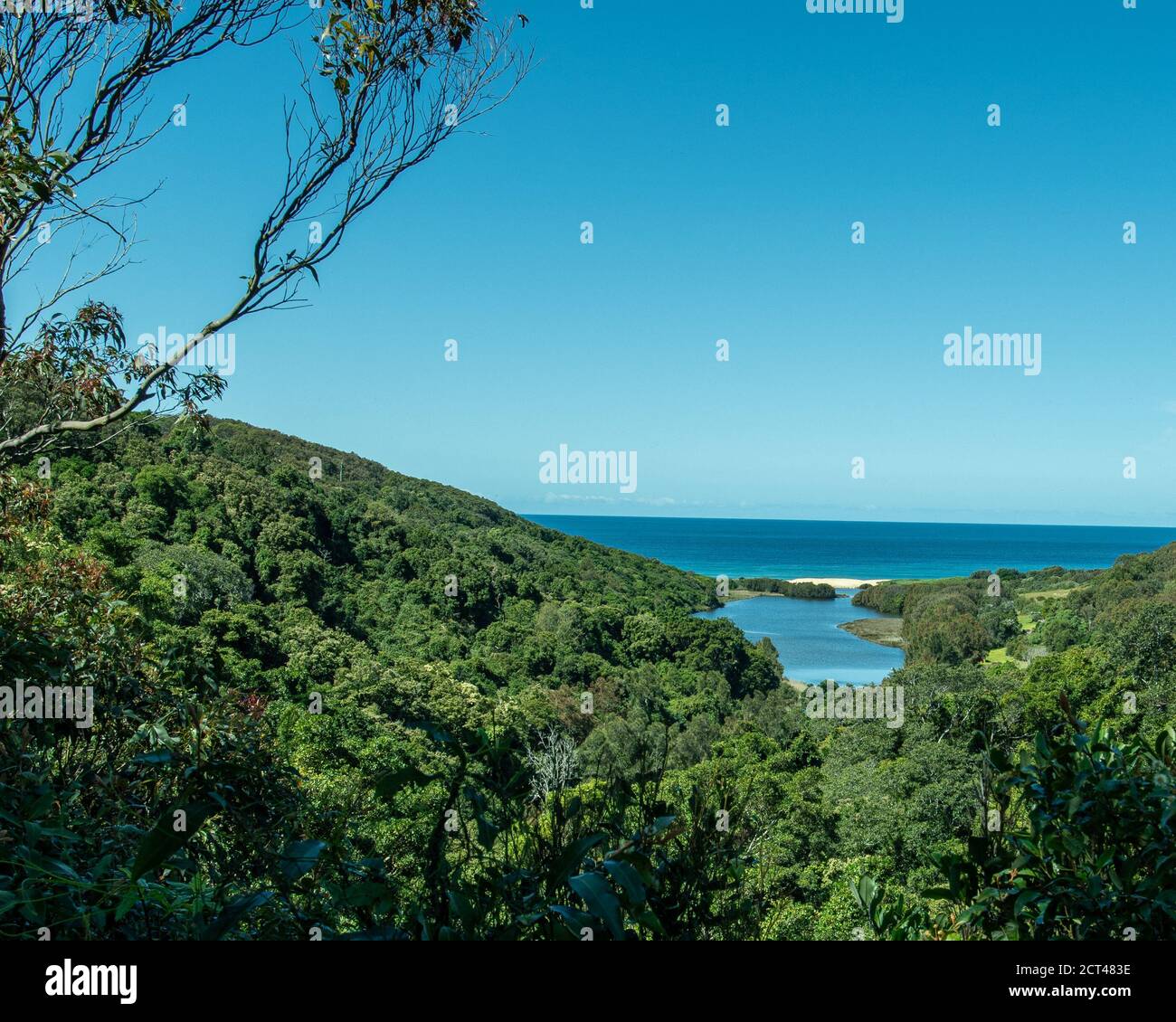 Beautiful bush walk and nature reserve and lagoon leading to Burwood beach, near Newcastle Australia Stock Photo