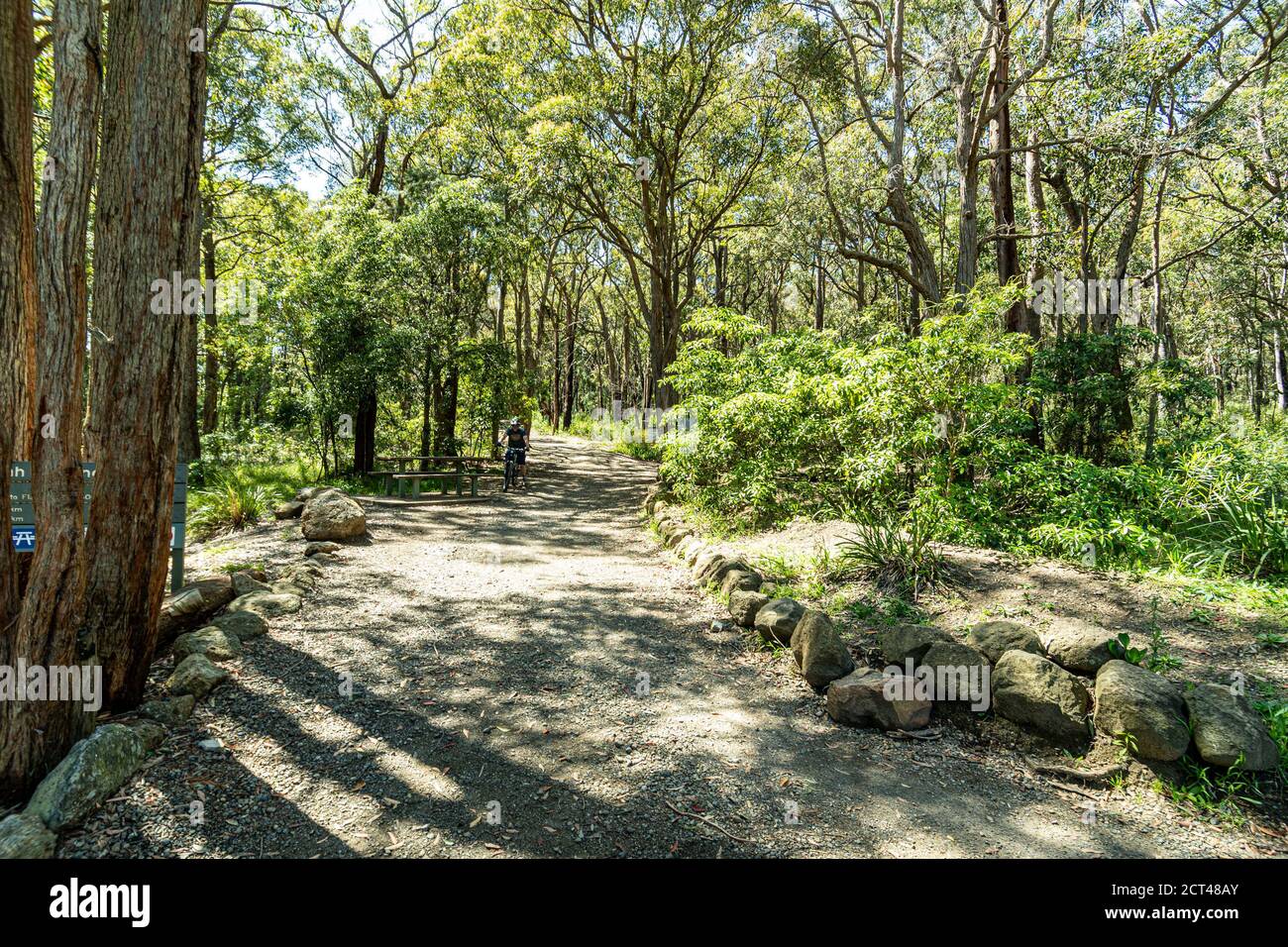 Bush cycling track in glenrock Reserve near Newcastle NSW. Stock Photo