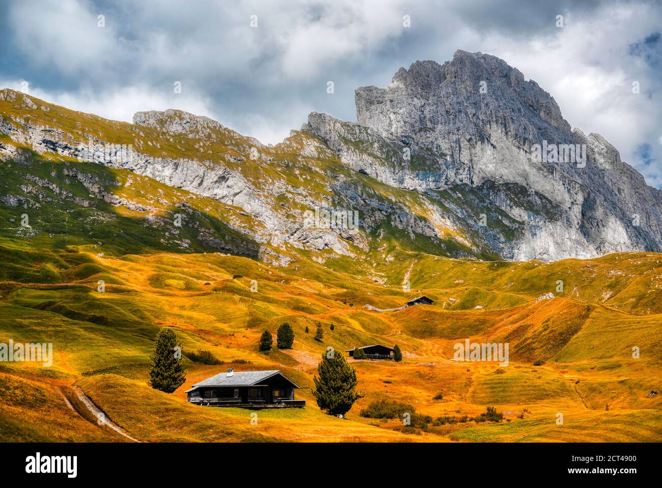 Fall season on the meadow of Seceda in the Gardena valley, Dolomites - Trentino-Alto Adige Stock Photo