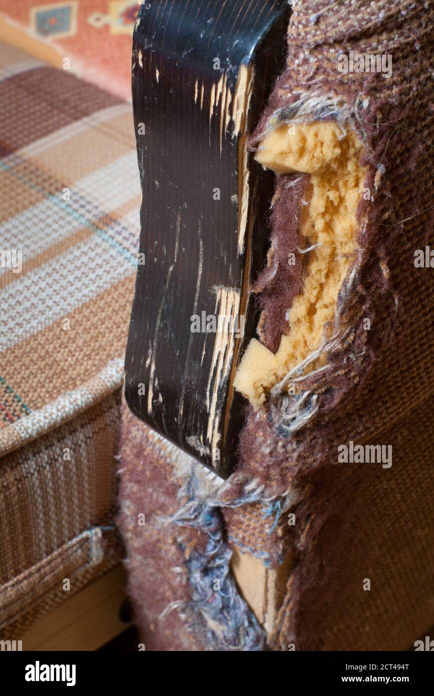 Torn and scratched corner of a sofa by pet with selective focus Stock