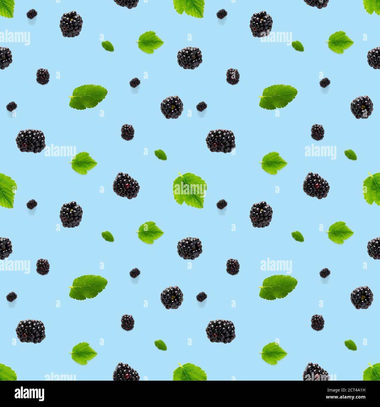 Falling Bramble Seamless pattern. Fresh Falling blackberry seamless pattern. Pattern with fresh wild berries isolated on blue background. Stock Photo