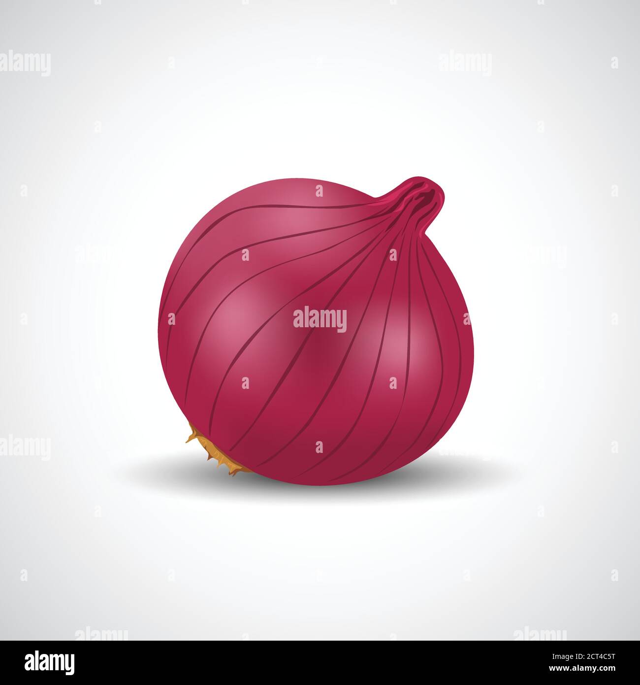 fresh red onion isolated white background. vector illustration Stock Vector