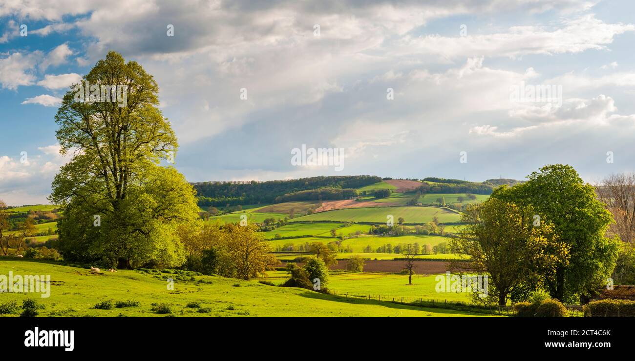 Winchcombe and the Sudely Valley, The Cotswolds, Gloucestershire, England, United Kingdom, Europe Stock Photo