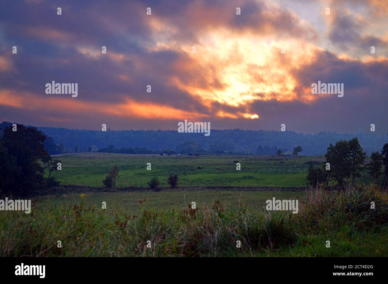 Denmark Farum Park Stock Photo Alamy