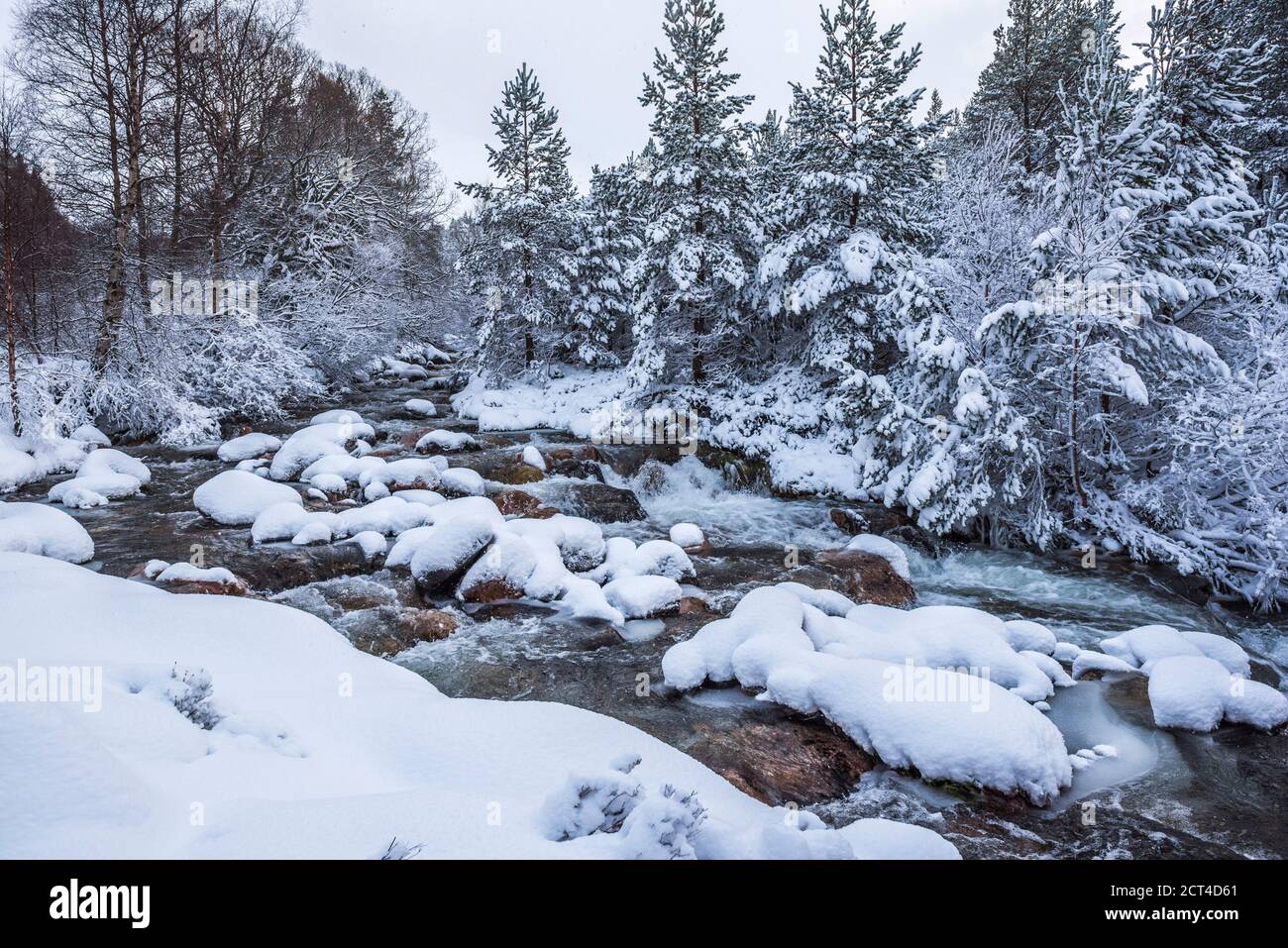 Snowy landscape at CairnGorm Mountain, Cairngorms National Park, Scotland, United Kingdom, Europe Stock Photo