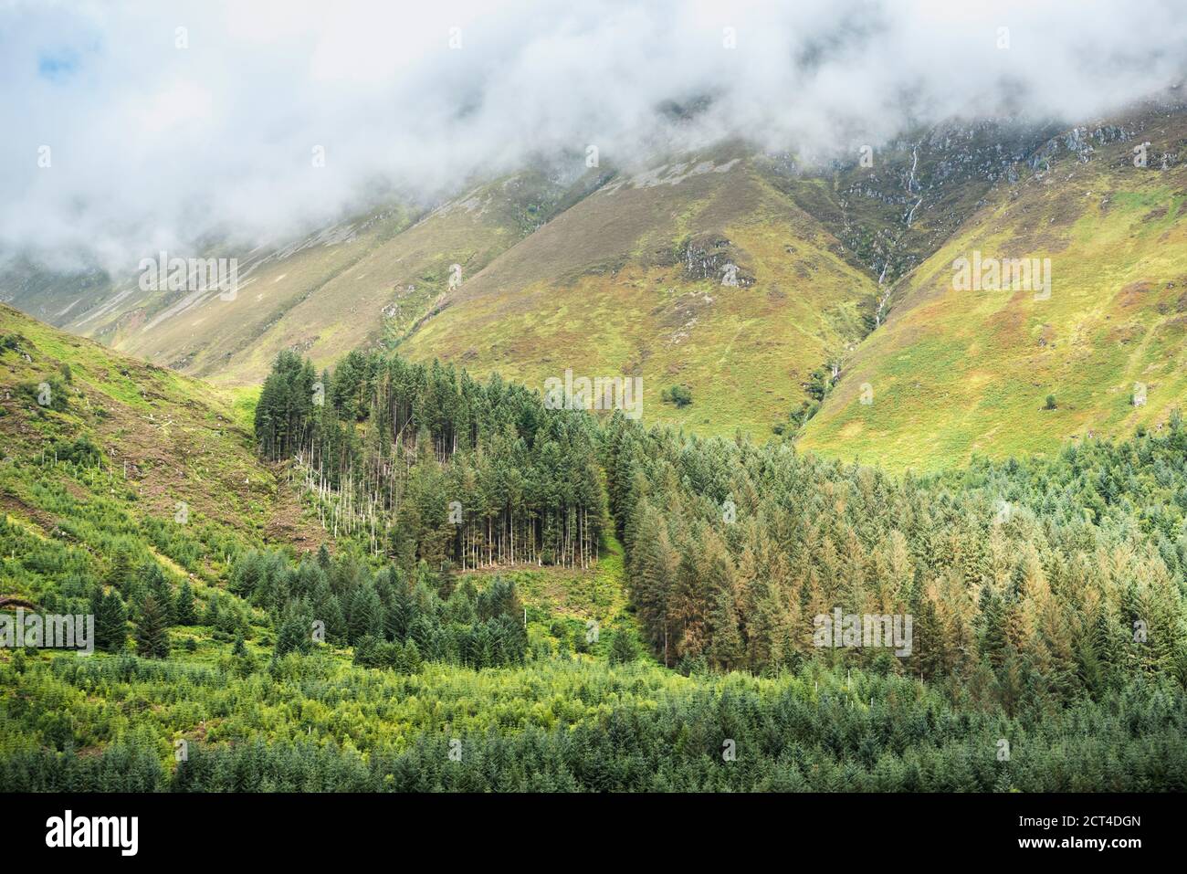 Canoeing the Caledonian Canal, near Fort William, Scottish Highlands