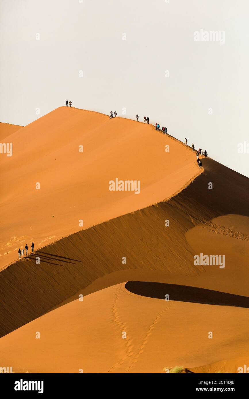 Tourists climb the largest sand dune in Sossusvlei, Sesrium, Namibia. Stock Photo