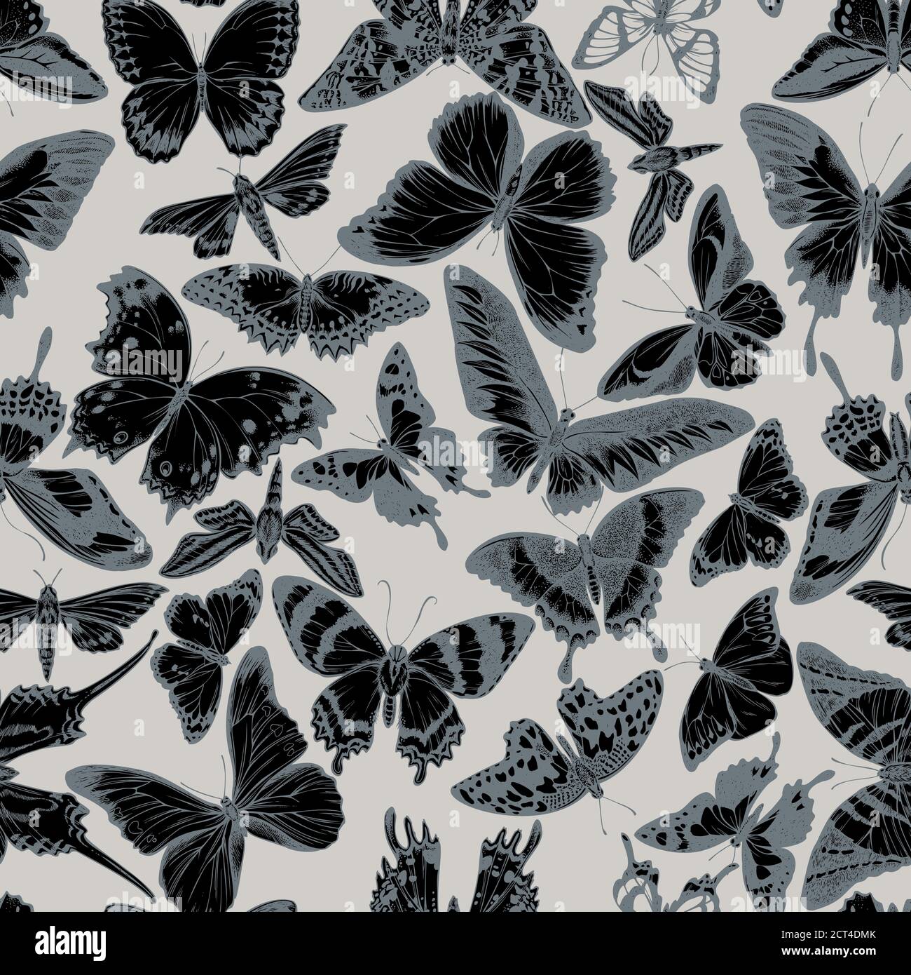 Seamless pattern with hand drawn stylized jungle queens, plain tiger, rajah brooke s birdwing, papilio torquatus Stock Vector