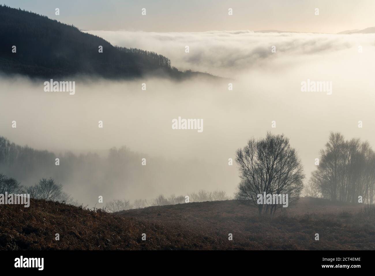 Misty mountain landscape seen from Ben Lomond in Loch Lomond and the Trossachs National Park