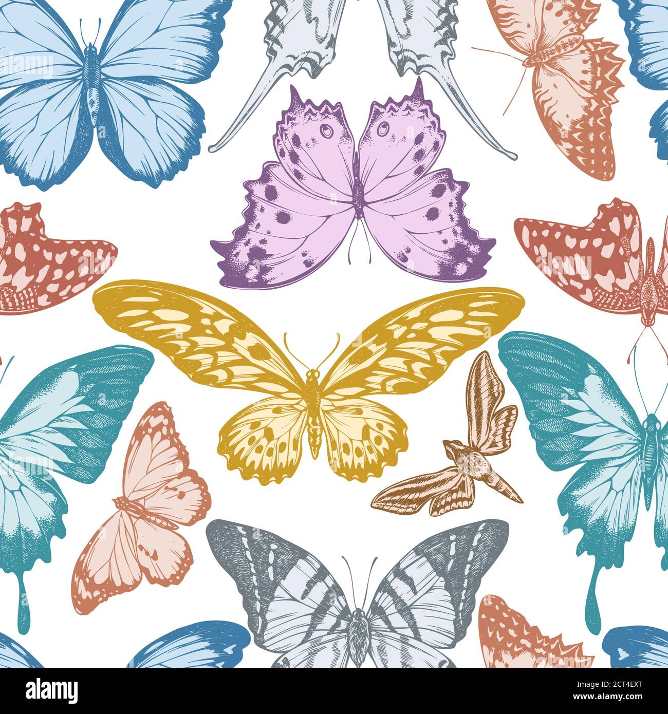 Seamless pattern with hand drawn pastel giant swordtail, lemon butterfly, red lacewing, african giant swallowtail, white-banded hunter hawkmoth Stock Vector
