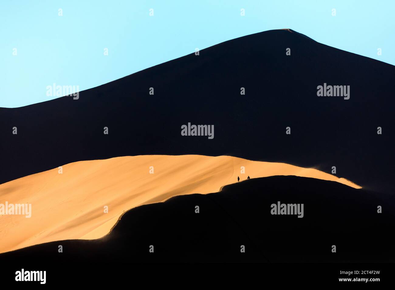Tourists climb a large red sand dune in the morning light in Sossusvlei ...