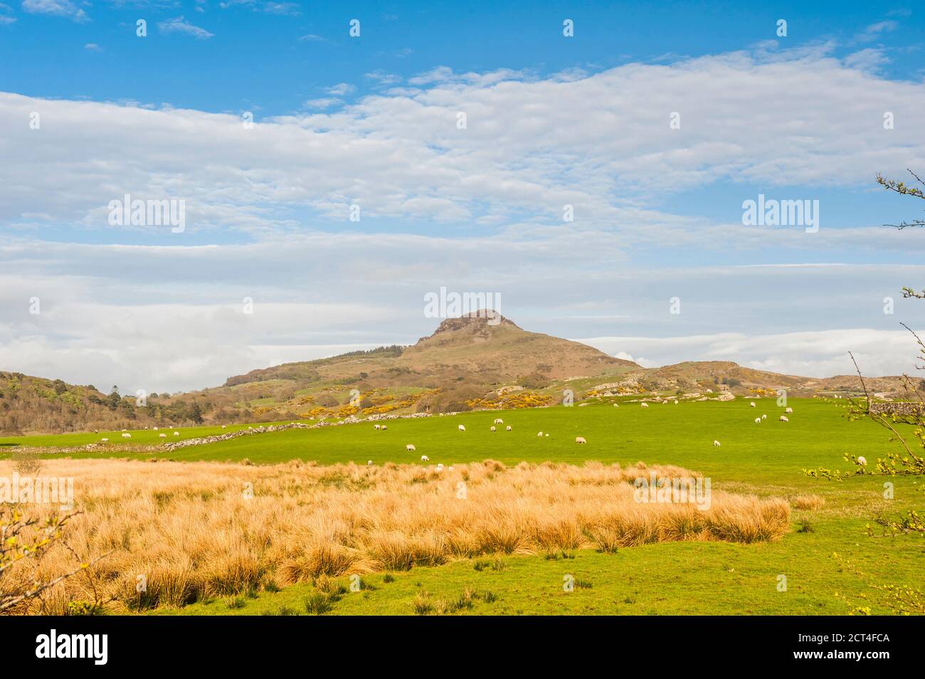 Farm land in Snowdonia National Park, North Wales Stock Photo Alamy