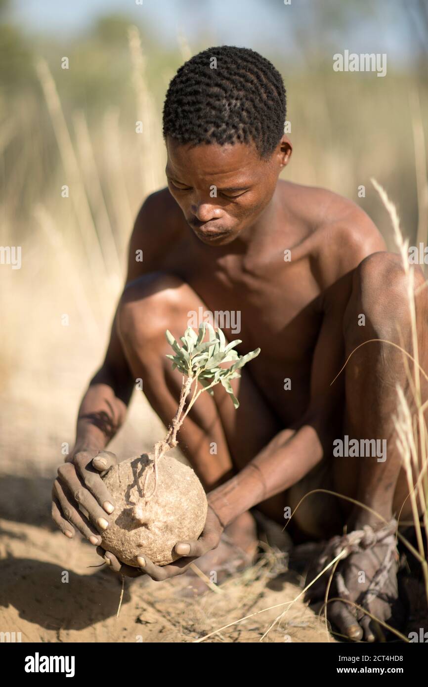 Hunting and gathering hires stock photography and images Alamy