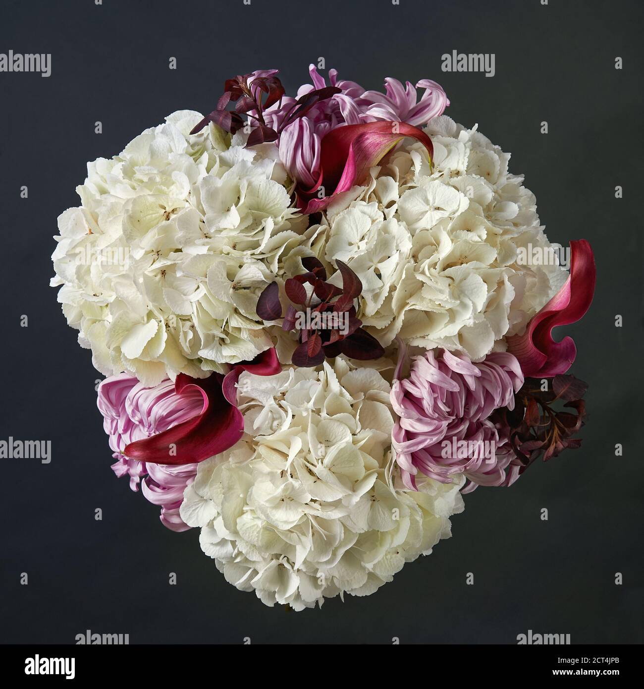 Bouquet of white hydrangea, red calla and pink chrysanthemum. Stock Photo