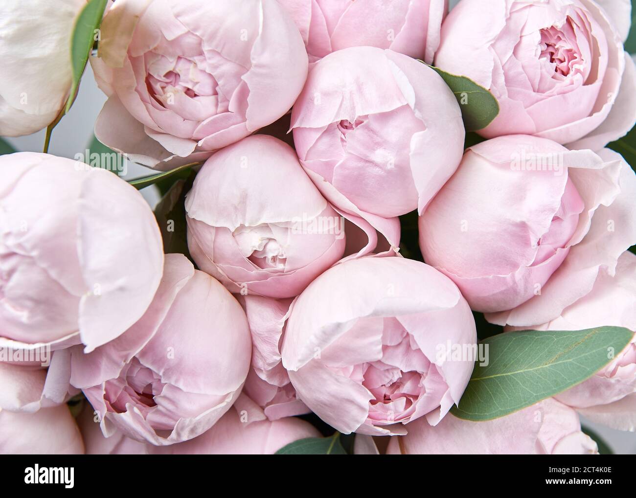 Beautiful bouquet of flowers with pink roses Stock Photo - Alamy