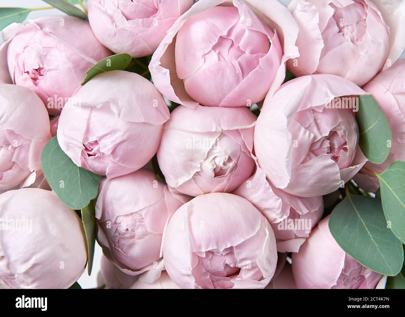 Beautiful bouquet of flowers with pink roses Stock Photo - Alamy