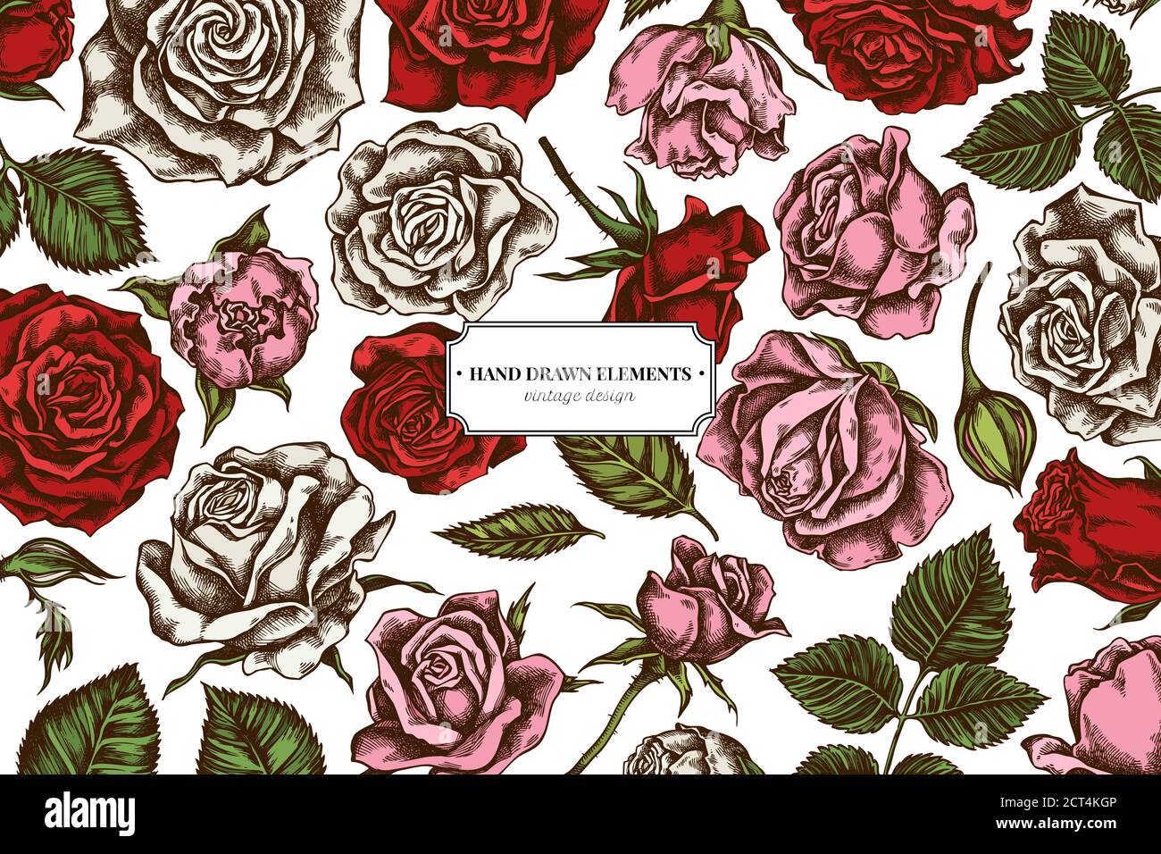 Floral design with colored roses Stock Vector Image & Art - Alamy