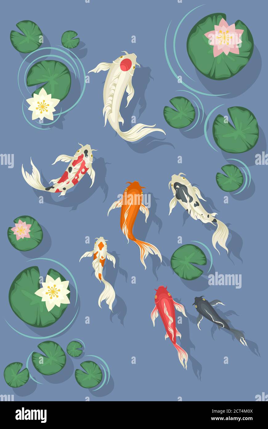 Fish in pond top view Stock Vector Images - Alamy