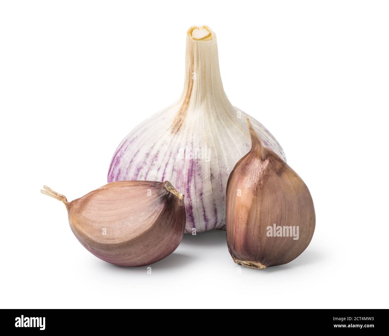 Head and cloves of garlic isolated on a white background Stock Photo Alamy