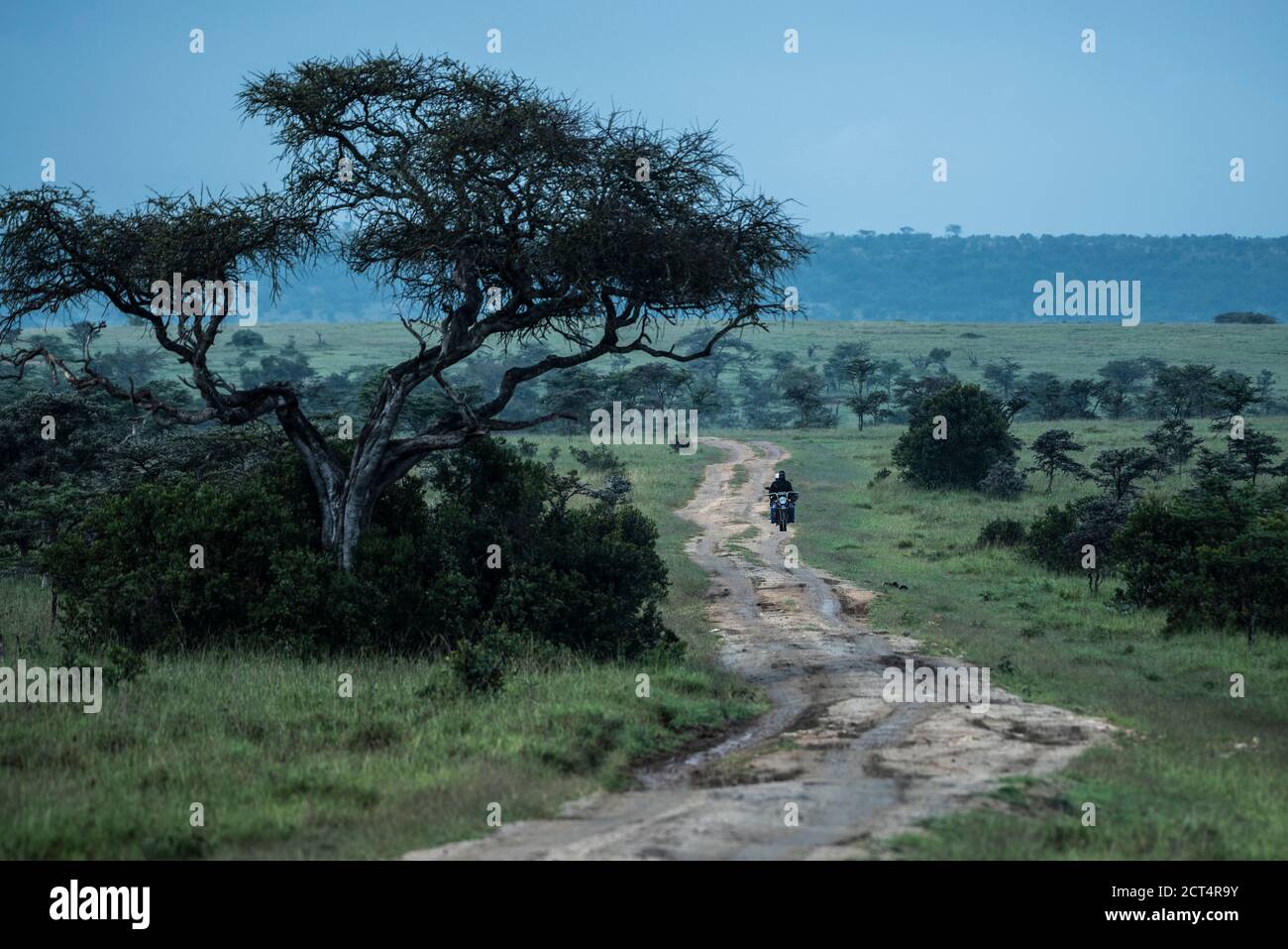 El Karama Ranch, Laikipia County, Kenya Stock Photo