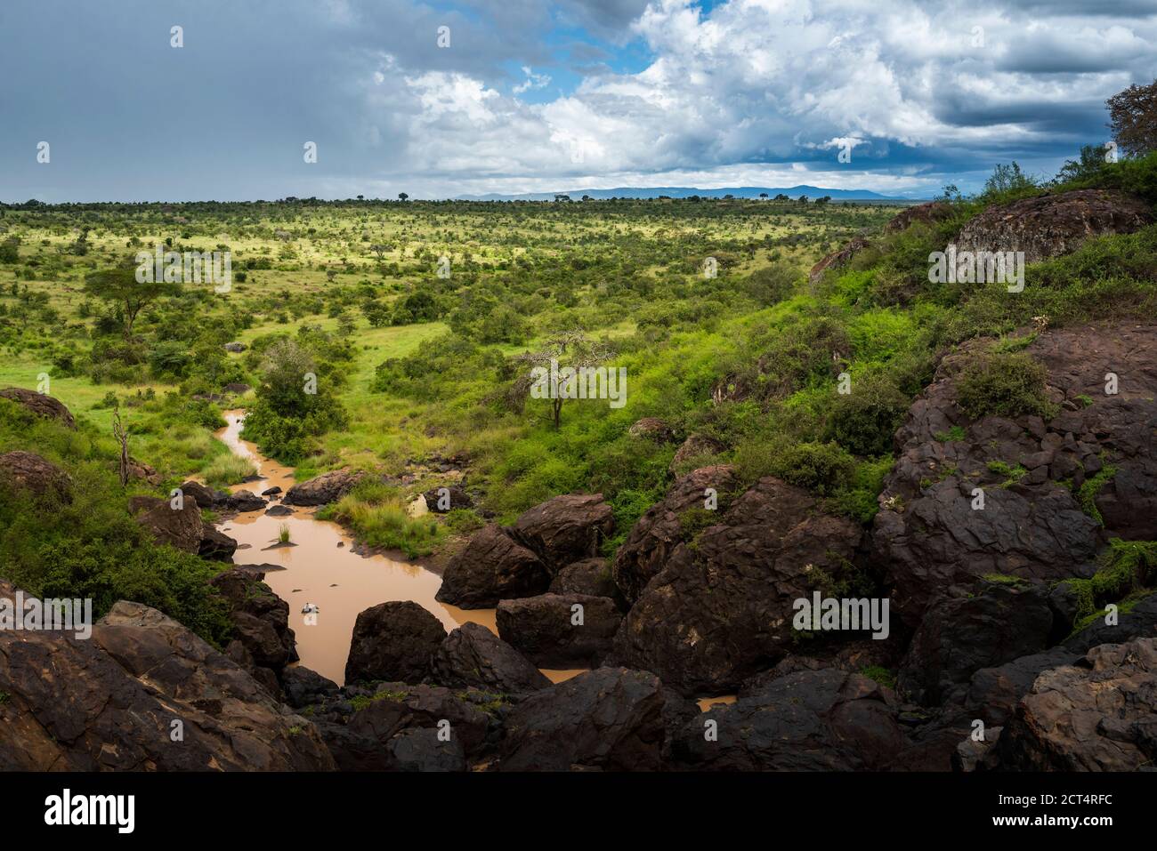 El Karama Ranch, Laikipia County, Kenya Stock Photo